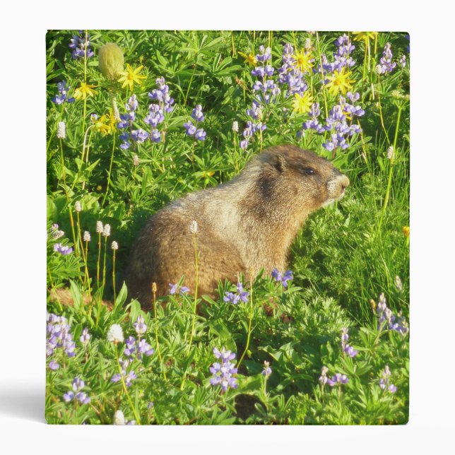 Marmot in Mount Rainier Wildflowers 3 Ring Binder (Front)