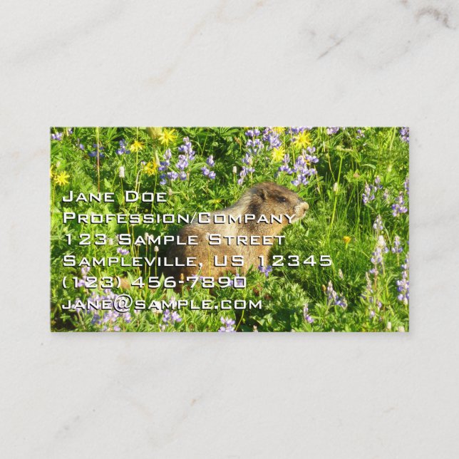 Marmot in Mount Rainier Wildflowers Business Card (Front)