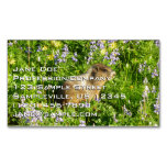 Marmot in Mount Rainier Wildflowers Business Card Magnet