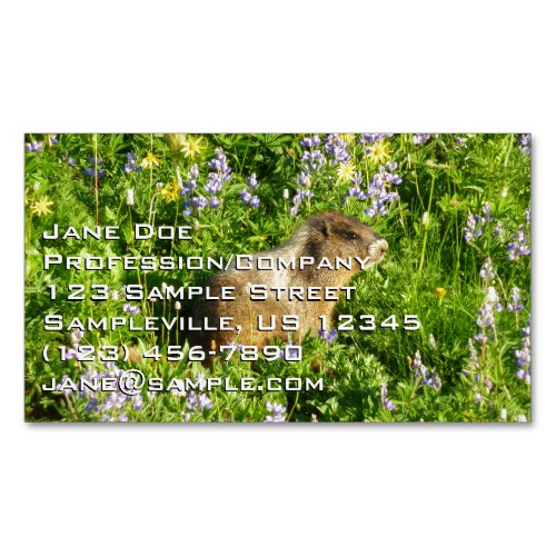 Marmot in Mount Rainier Wildflowers Business Card Magnet