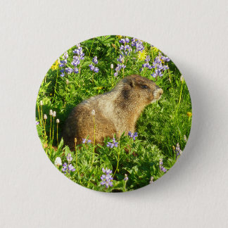 Marmot in Mount Rainier Wildflowers Button