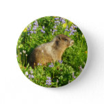 Marmot in Mount Rainier Wildflowers Button