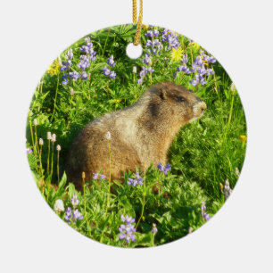 Marmot in Mount Rainier Wildflowers Ceramic Ornament