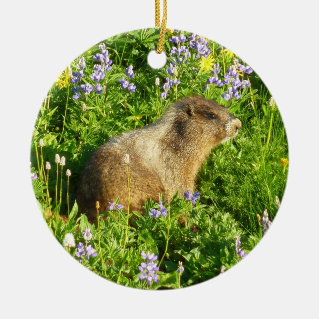 Marmot in Mount Rainier Wildflowers Ceramic Ornament (Front)