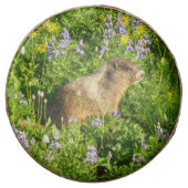 Marmot in Mount Rainier Wildflowers Chocolate Covered Oreo (Front)