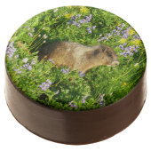 Marmot in Mount Rainier Wildflowers Chocolate Covered Oreo (Angled)