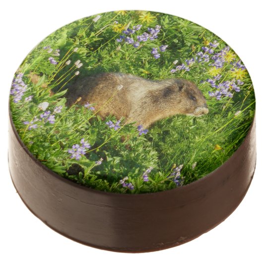 Marmot in Mount Rainier Wildflowers Chocolate Covered Oreo (Angled)