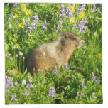 Marmot in Mount Rainier Wildflowers Cloth Napkin