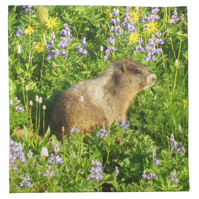 Marmot in Mount Rainier Wildflowers Cloth Napkin (Front)