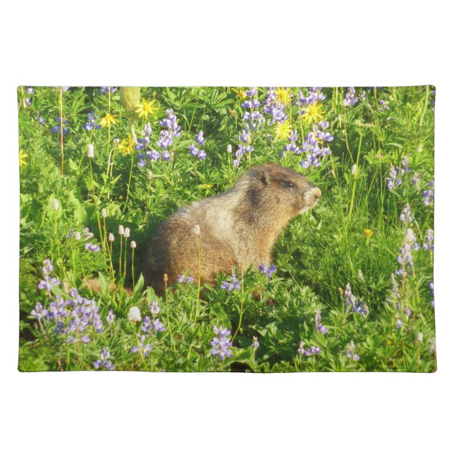 Marmot in Mount Rainier Wildflowers Cloth Placemat (Front)