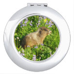 Marmot in Mount Rainier Wildflowers Compact Mirror