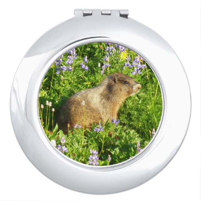 Marmot in Mount Rainier Wildflowers Compact Mirror (Front)