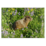 Marmot in Mount Rainier Wildflowers Cutting Board