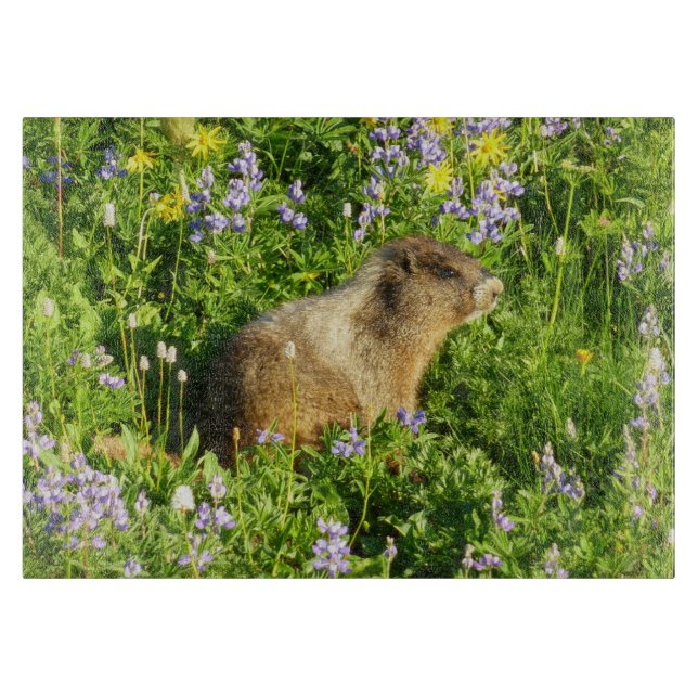 Marmot in Mount Rainier Wildflowers Cutting Board (Front)