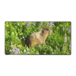 Marmot in Mount Rainier Wildflowers Desk Mat