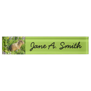 Marmot in Mount Rainier Wildflowers Desk Name Plate