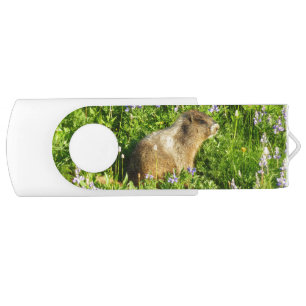 Marmot in Mount Rainier Wildflowers Flash Drive