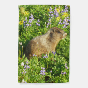Marmot in Mount Rainier Wildflowers Garden Flag