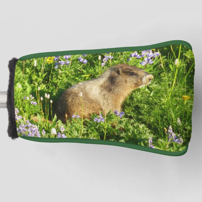 Marmot in Mount Rainier Wildflowers Golf Head Cover (Front)