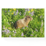 Marmot in Mount Rainier Wildflowers Guest Book