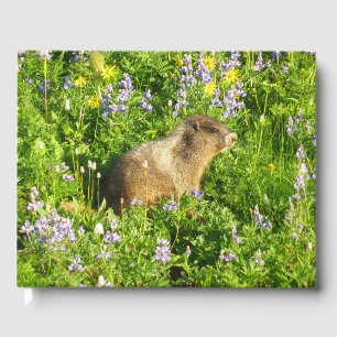 Marmot in Mount Rainier Wildflowers Guest Book