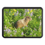 Marmot in Mount Rainier Wildflowers Hitch Cover