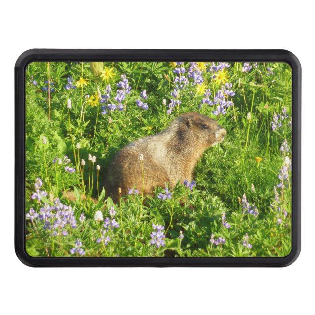 Marmot in Mount Rainier Wildflowers Hitch Cover (Front)