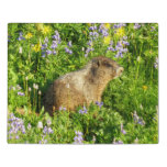 Marmot in Mount Rainier Wildflowers Jigsaw Puzzle