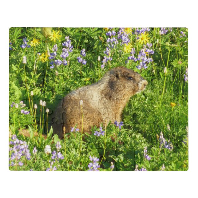Marmot in Mount Rainier Wildflowers Jigsaw Puzzle (Puzzle Horizontal)