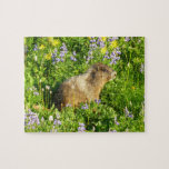 Marmot in Mount Rainier Wildflowers Jigsaw Puzzle