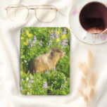 Marmot in Mount Rainier Wildflowers Kindle Cover