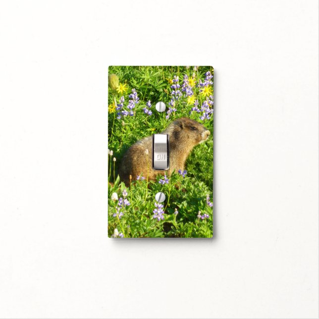 Marmot in Mount Rainier Wildflowers Light Switch Cover (In Situ)