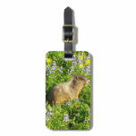 Marmot in Mount Rainier Wildflowers Luggage Tag