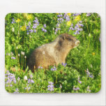 Marmot in Mount Rainier Wildflowers Mouse Pad
