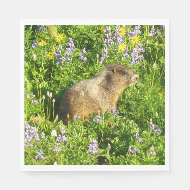 Marmot in Mount Rainier Wildflowers Napkins (Front)