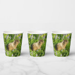 Marmot in Mount Rainier Wildflowers Paper Cups