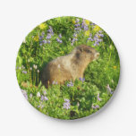 Marmot in Mount Rainier Wildflowers Paper Plates