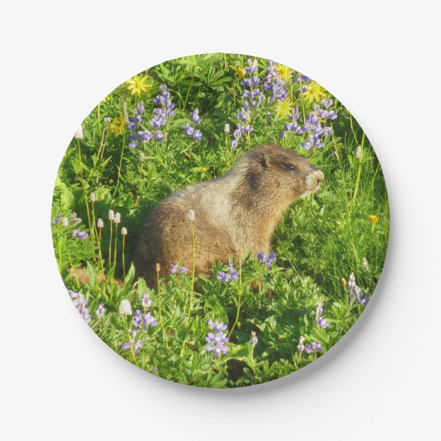 Marmot in Mount Rainier Wildflowers Paper Plates (Front)