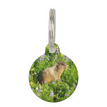 Marmot in Mount Rainier Wildflowers Pet ID Tag