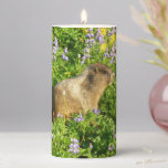 Marmot in Mount Rainier Wildflowers Pillar Candle