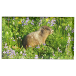 Marmot in Mount Rainier Wildflowers Place Card Holder