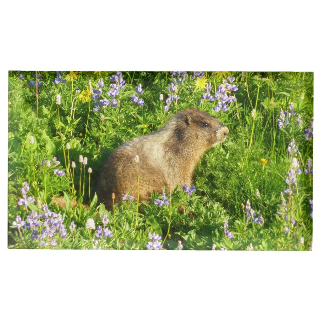 Marmot in Mount Rainier Wildflowers Place Card Holder (Front)
