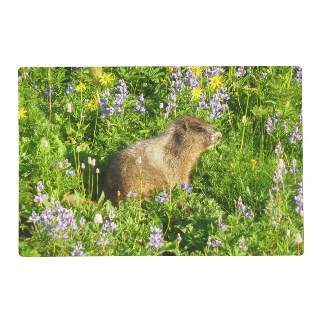 Marmot in Mount Rainier Wildflowers Placemat (Front)