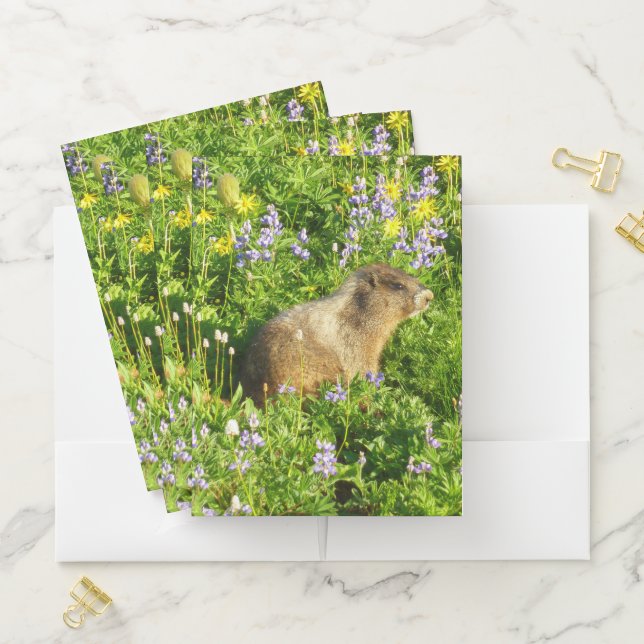 Marmot in Mount Rainier Wildflowers Pocket Folder (In Situ)