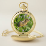 Marmot in Mount Rainier Wildflowers Pocket Watch