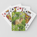 Marmot in Mount Rainier Wildflowers Poker Cards