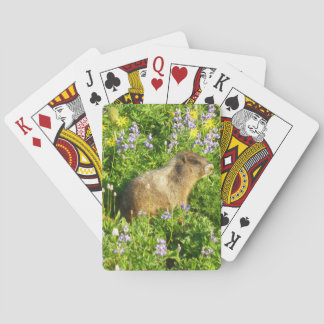 Marmot in Mount Rainier Wildflowers Poker Cards