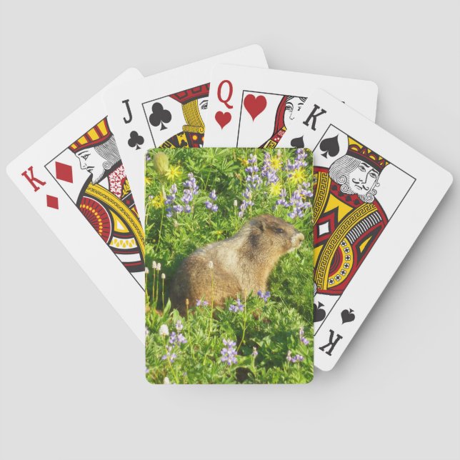 Marmot in Mount Rainier Wildflowers Poker Cards (Back)