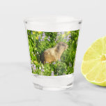 Marmot in Mount Rainier Wildflowers Shot Glass