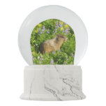 Marmot in Mount Rainier Wildflowers Snow Globe